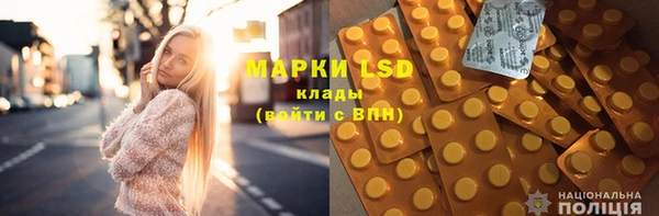 ПСИЛОЦИБИНОВЫЕ ГРИБЫ Инсар