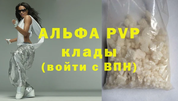 ПСИЛОЦИБИНОВЫЕ ГРИБЫ Инсар