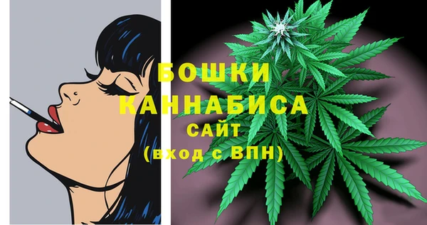 ПСИЛОЦИБИНОВЫЕ ГРИБЫ Инсар