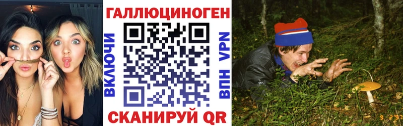 Галлюциногенные грибы Psilocybine cubensis  Купить  Каменногорск 