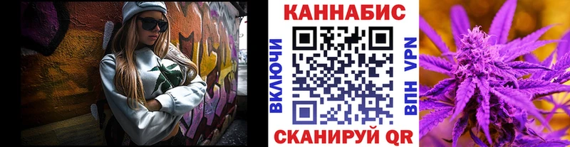 Купить закладки  Каменногорск  Канабис план 